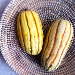 delicata squash